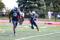 SHP_fb-v_17