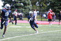 SHP_fb-v_19