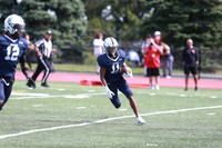 SHP_fb-v_20