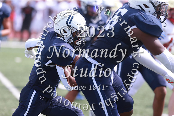 SHP_fb-v_30