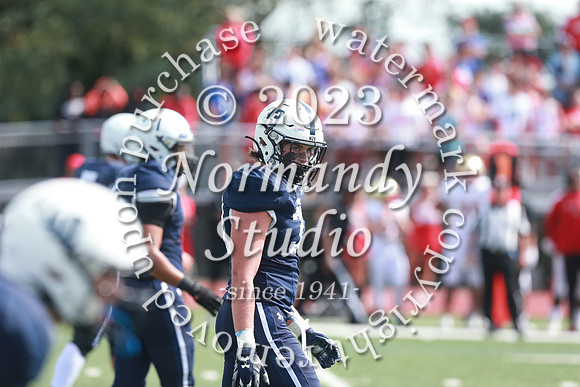 SHP_fb-v_31