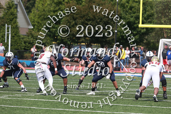 SHP_fb-v_37