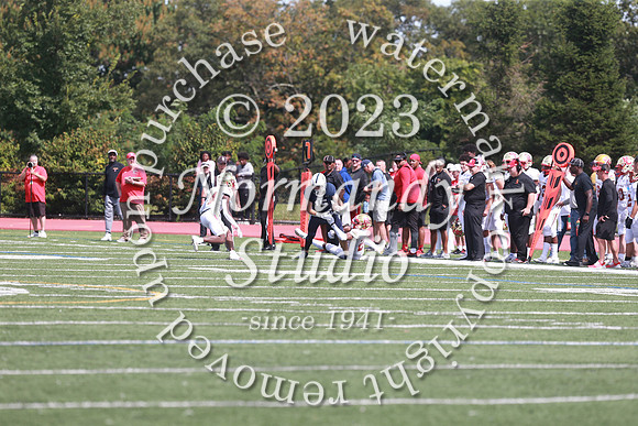 SHP_fb-v_33