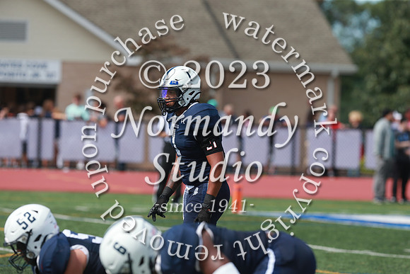 SHP_fb-v_41