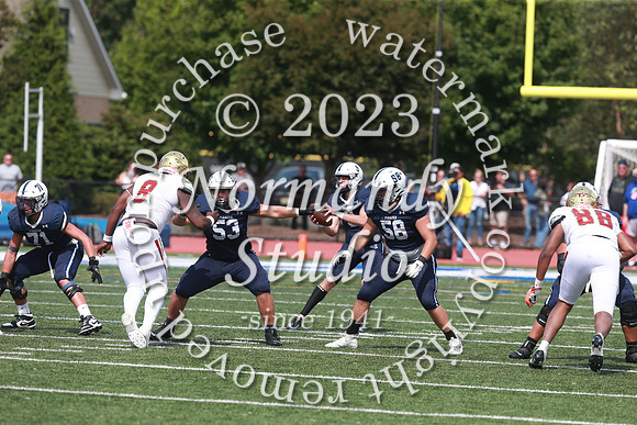 SHP_fb-v_39