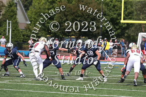 SHP_fb-v_38