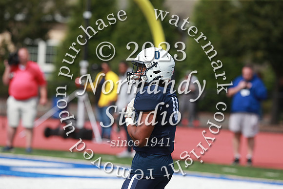 SHP_fb-v_44