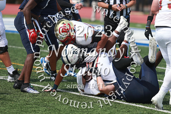 SHP_fb-v_42
