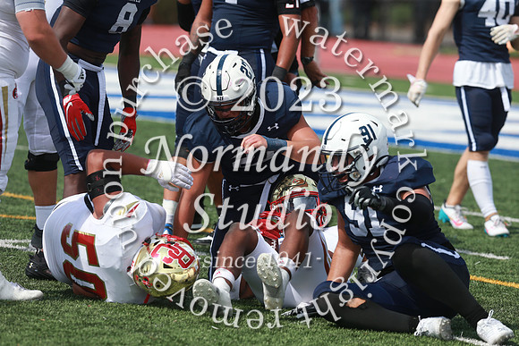 SHP_fb-v_43