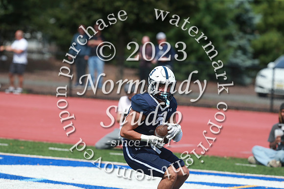 SHP_fb-v_51