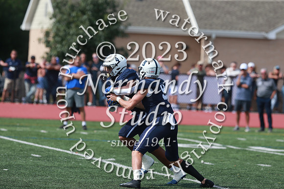 SHP_fb-v_55