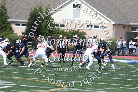 SHP_fb-v_58