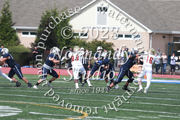 SHP_fb-v_60