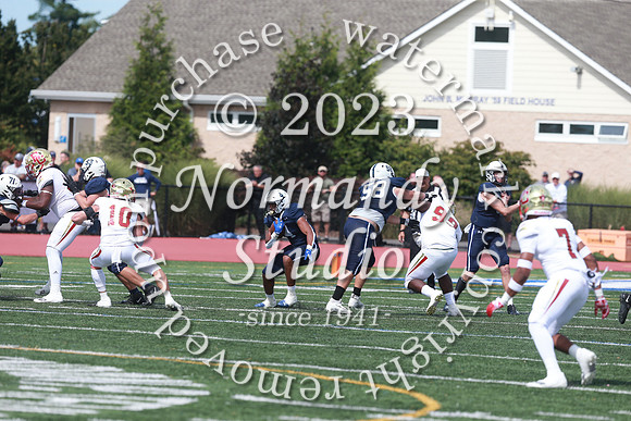 SHP_fb-v_62