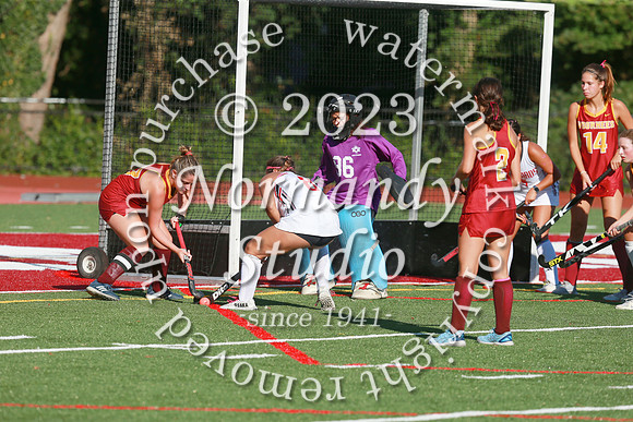 BER_fh_185