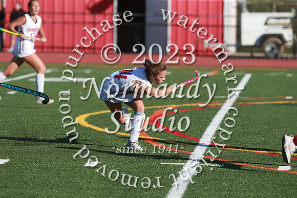BER_fh_331