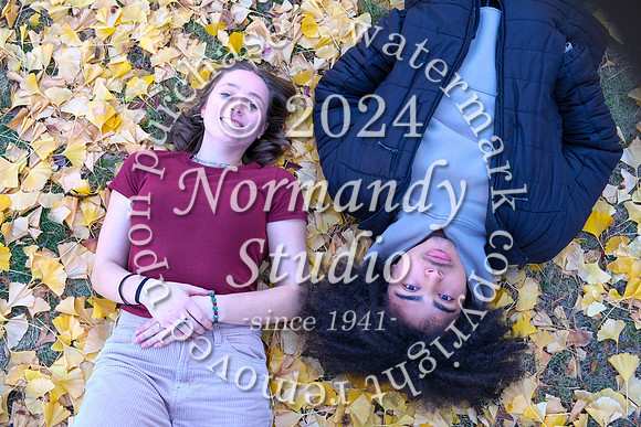 DHS_sr slant_33