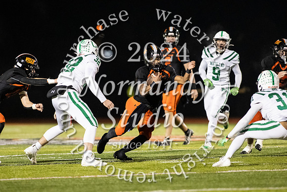 SVL_fb_30