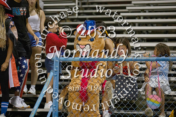 CHS_fans_25