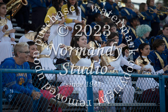 CHS_mb_29