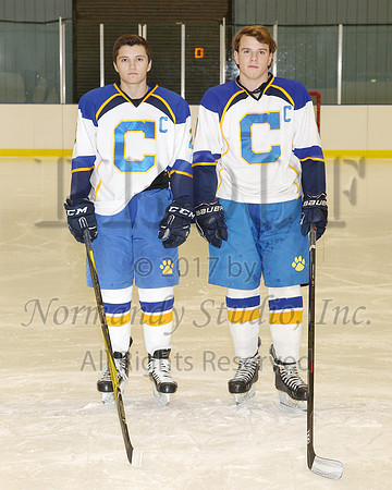 CHS_08_ih-t