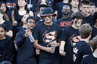 SVL_fans_25