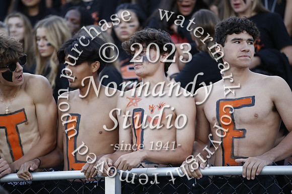 SVL_fans_38