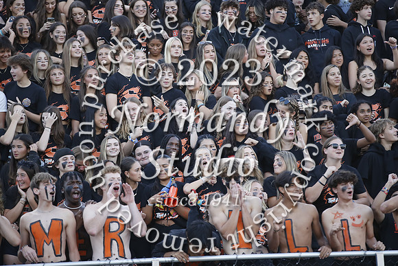 SVL_fans_52