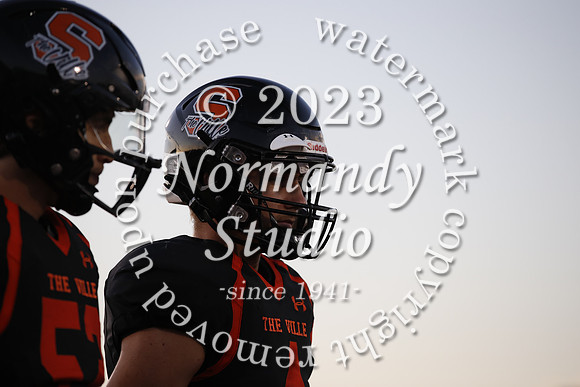 SVL_fb_10