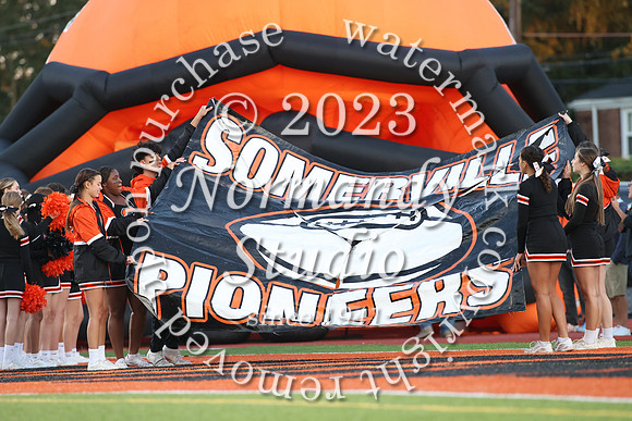 SVL_fb_20
