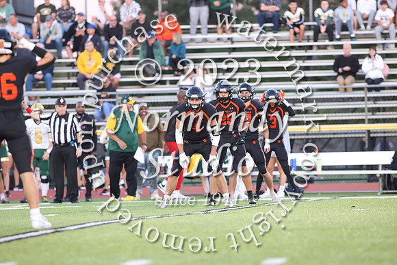 SVL_fb_42