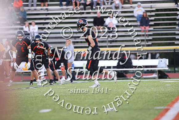 SVL_fb_43