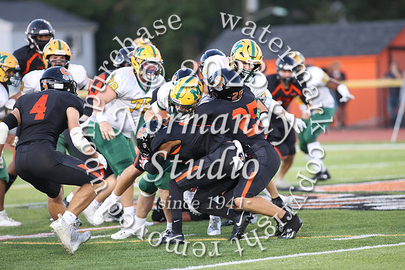 SVL_fb_44