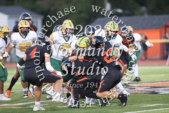 SVL_fb_45