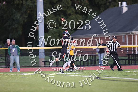 SVL_fb_47