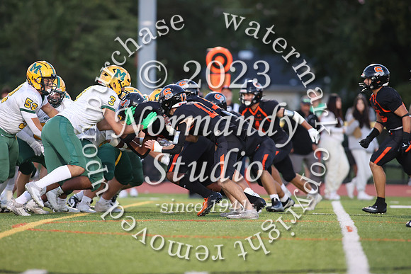 SVL_fb_50