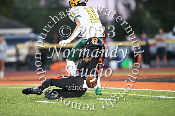 SVL_fb_56