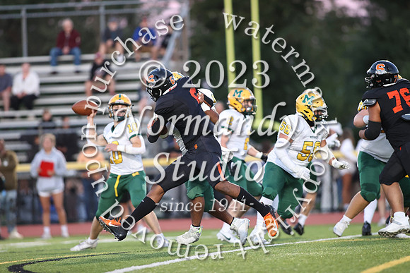 SVL_fb_55