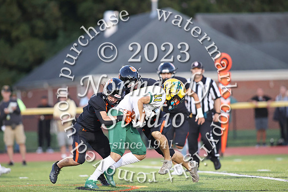 SVL_fb_60