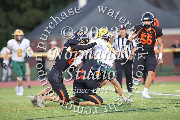 SVL_fb_63
