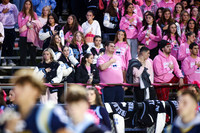 FTH_fans_04