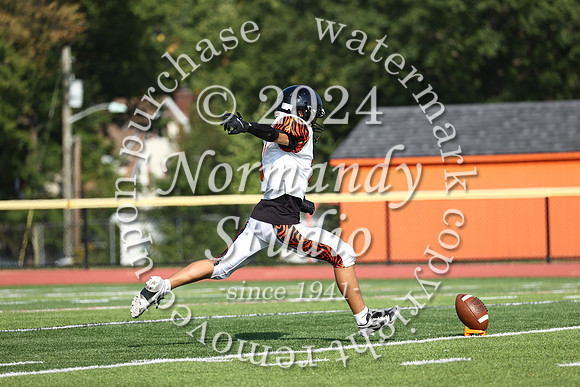 SVL_fb-f_49