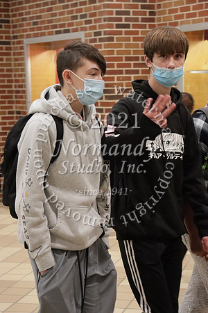 JAC_382_slc