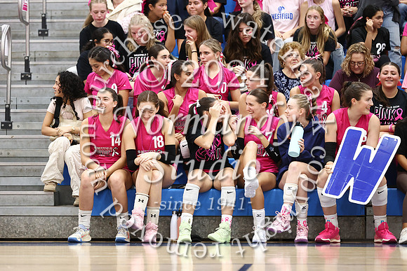 WHS_vb-pink out_33