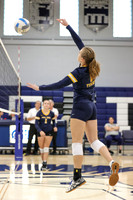 DVH_vb-g_19