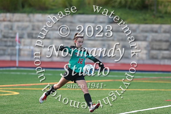 MSM_so-g_66