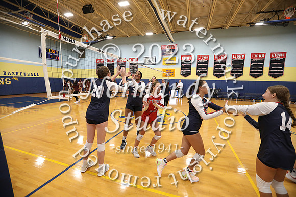 MSM_vb-g_10