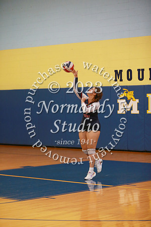 MSM_vb-g_19