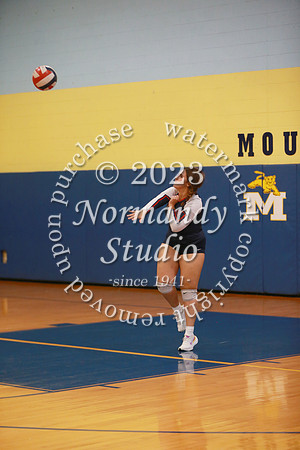 MSM_vb-g_20