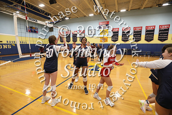 MSM_vb-g_11